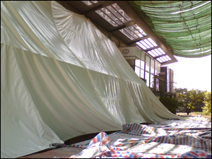 �������żt�䞳���Ǖ�(hu��)�����(y��ng)����Ĥ