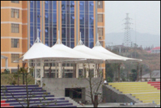 ���ϑѻ��f(w��n)���W(xu��)УĤ�Y(ji��)��(g��u)���_(t��i)